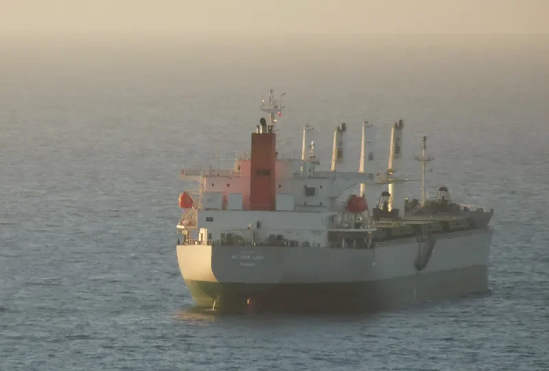 MY FAIR LADY Bulk Carrier IMO 9477282 photo 7