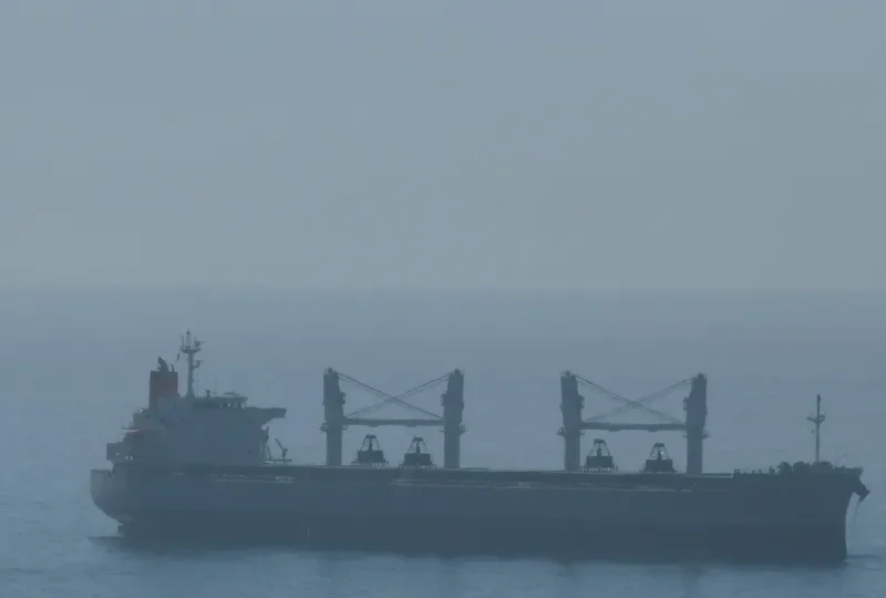 MY FAIR LADY Bulk Carrier IMO 9477282 photo 8