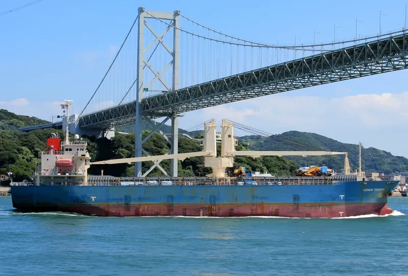 VENUS TRIUMPH General Cargo IMO 9477646 photo 6