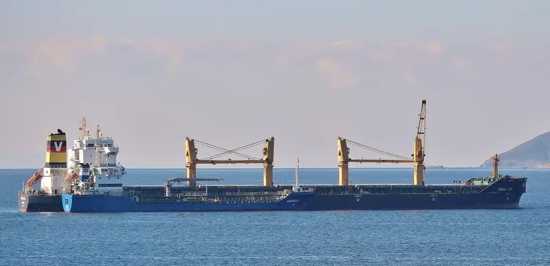 VEGA LEA Bulk Carrier IMO 9477684
