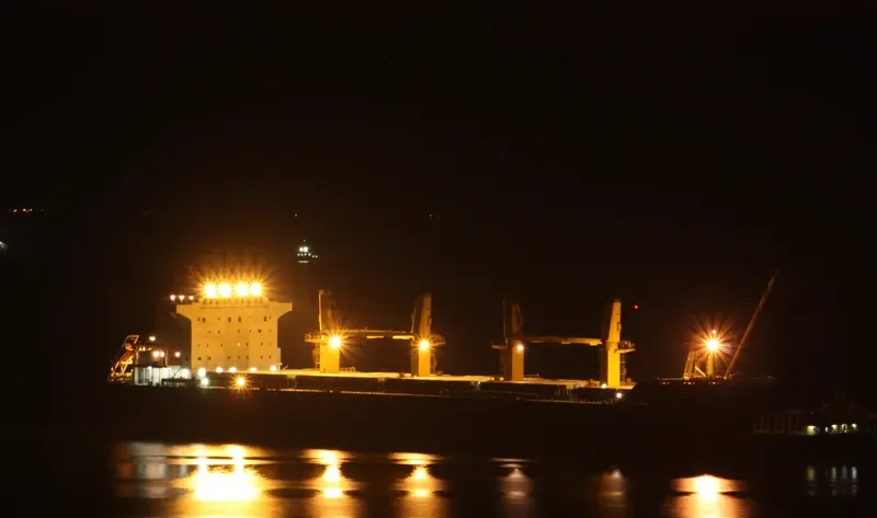 VEGA LEA Bulk Carrier IMO 9477684 photo 2