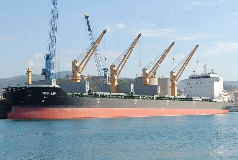 VEGA LEA Bulk Carrier IMO 9477684 photo 9