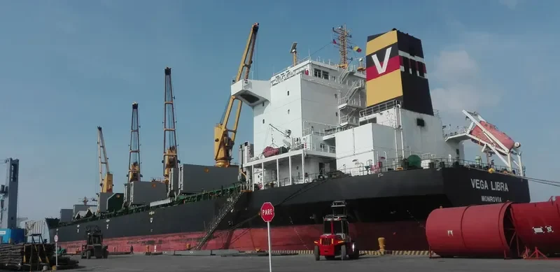 HG HONGKONG Bulk Carrier IMO 9477696