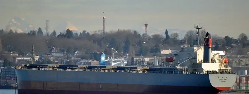 FJ BLU Bulk Carrier IMO 9477816