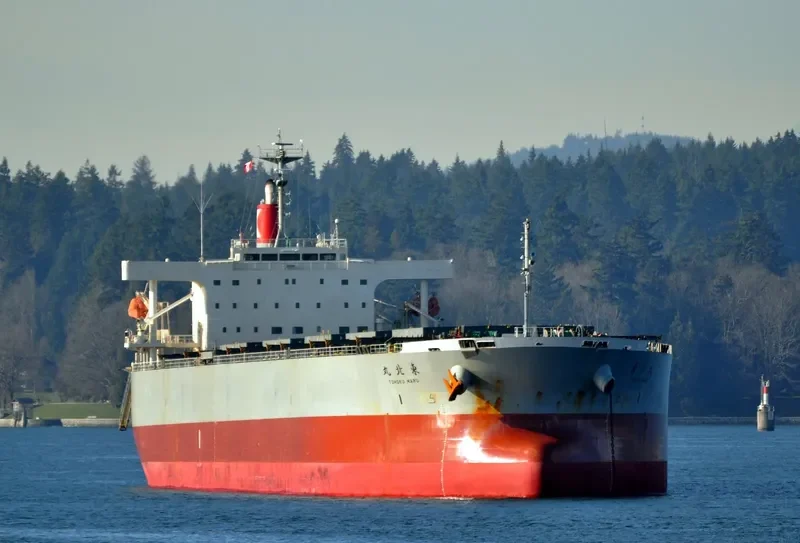 FJ BLU Bulk Carrier IMO 9477816 photo 2