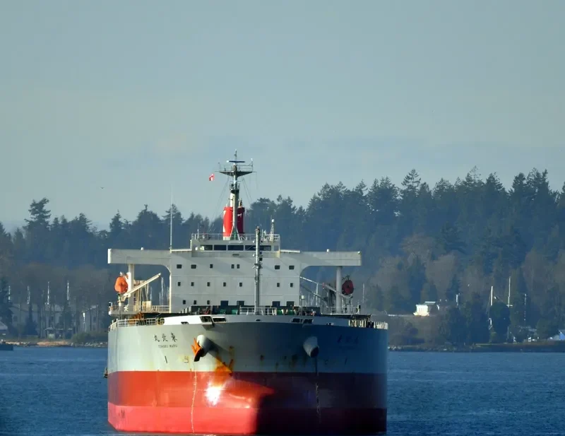 FJ BLU Bulk Carrier IMO 9477816 photo 3