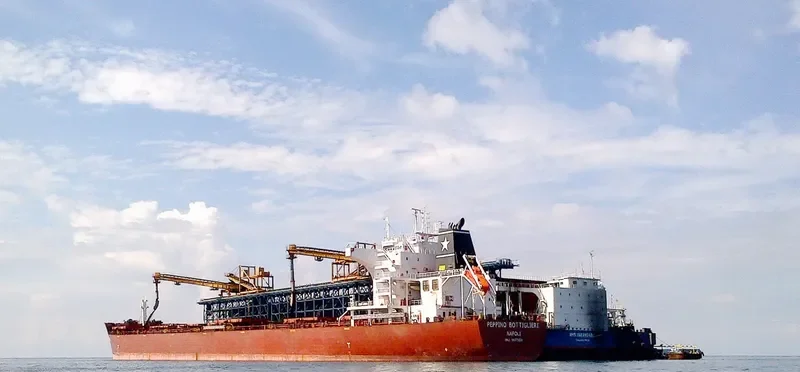 STAR CORAL Bulk Carrier IMO 9477854 photo 5