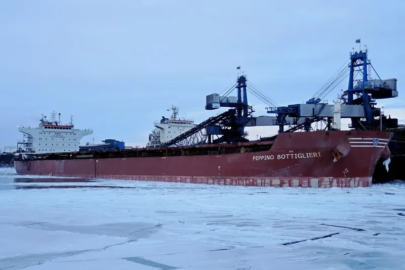 STAR CORAL Bulk Carrier IMO 9477854 photo 9