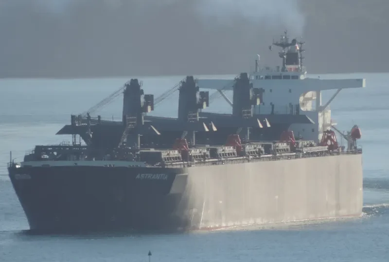 ASTRANTIA Bulk Carrier IMO 9477945 photo 3