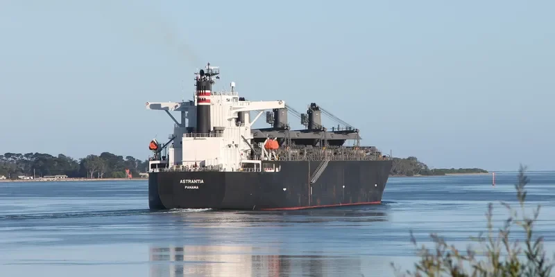 ASTRANTIA Bulk Carrier IMO 9477945 photo 5