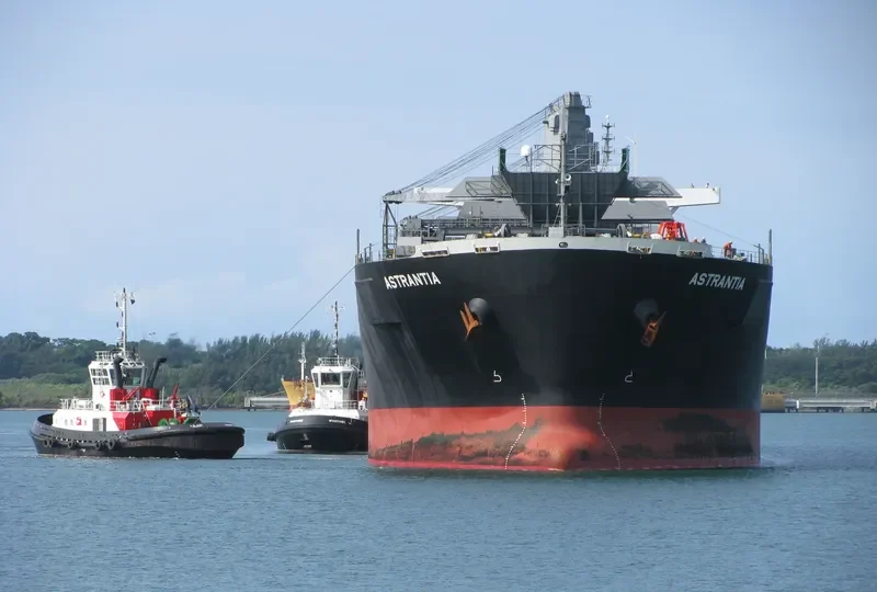 ASTRANTIA Bulk Carrier IMO 9477945 photo 6