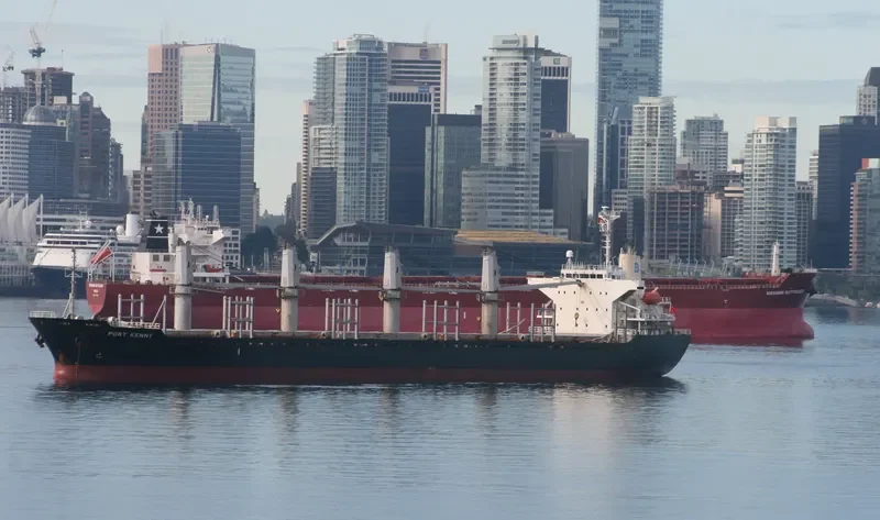 GIOVANNI BOTTIGLIERI Bulk Carrier IMO 9478030 photo 4