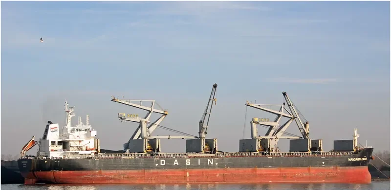 MANDARIN EAGLE Bulk Carrier IMO 9478157