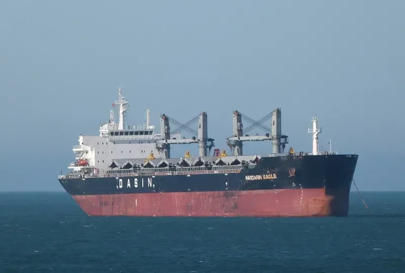 MANDARIN EAGLE Bulk Carrier IMO 9478157 photo 5