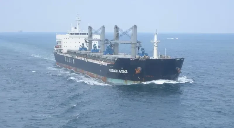 MANDARIN EAGLE Bulk Carrier IMO 9478157 photo 6