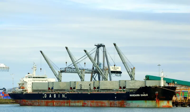 MANDARIN EAGLE Bulk Carrier IMO 9478157 photo 7