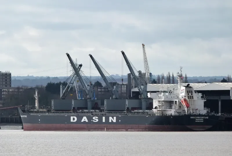 MANDARIN FORTUNE Bulk Carrier IMO 9478169