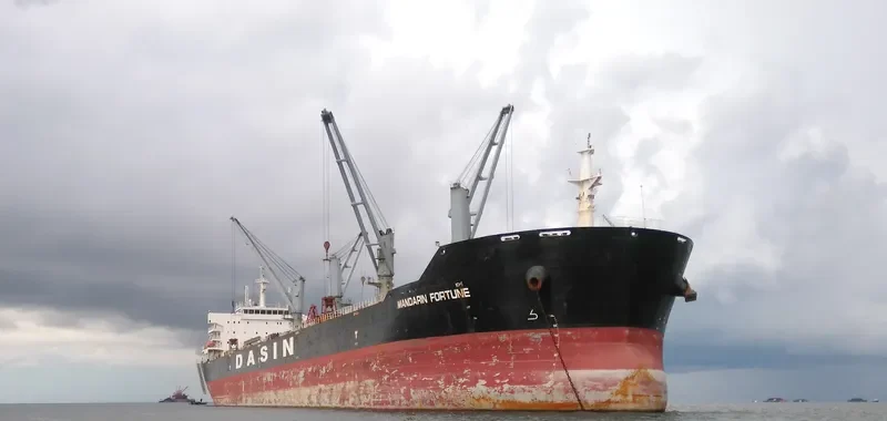 MANDARIN FORTUNE Bulk Carrier IMO 9478169 photo 2