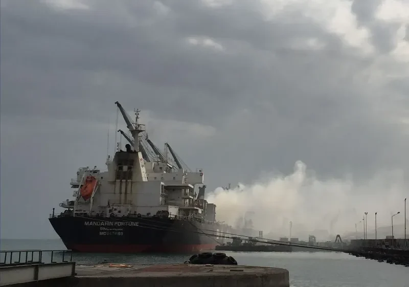 MANDARIN FORTUNE Bulk Carrier IMO 9478169 photo 3