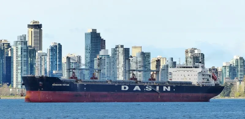 MANDARIN FORTUNE Bulk Carrier IMO 9478169 photo 7