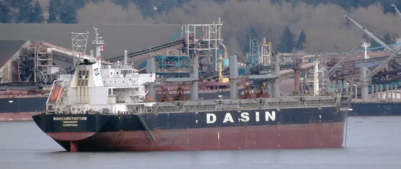 MANDARIN FORTUNE Bulk Carrier IMO 9478169 photo 9