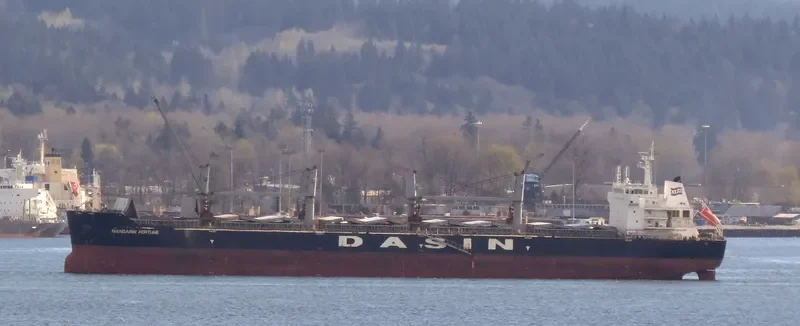 MANDARIN FORTUNE Bulk Carrier IMO 9478169 photo 10