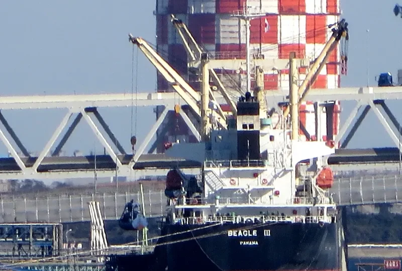 BEAGLE III General Cargo IMO 9478353