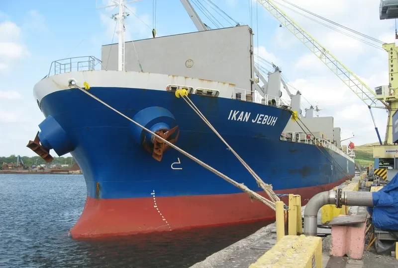 DOUBLE DIAMOND Bulk Carrier IMO 9478470 photo 4