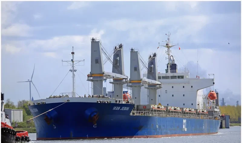 DOUBLE DIAMOND Bulk Carrier IMO 9478470 photo 7