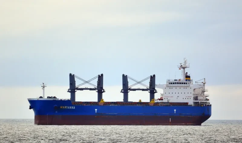 MARIANNA Bulk Carrier IMO 9478523 photo 8