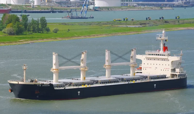 NATASCHA Bulk Carrier IMO 9478561 photo 3