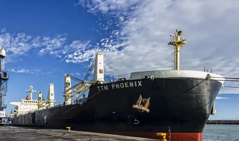 TTM PHOENIX Bulk Carrier IMO 9478573 photo 6