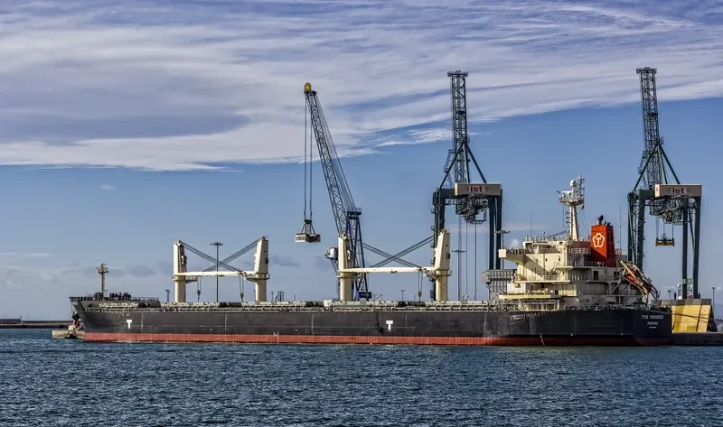 TTM PHOENIX Bulk Carrier IMO 9478573 photo 8