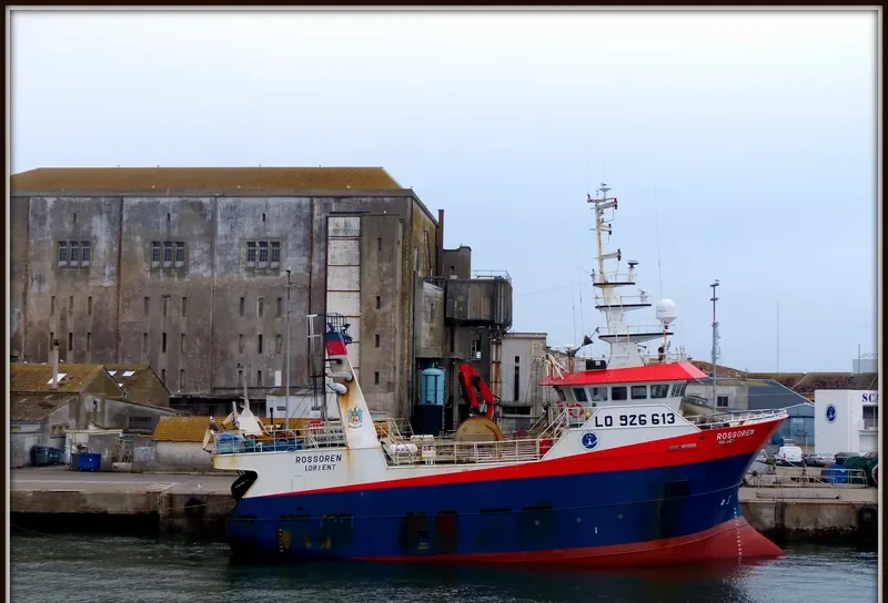 ROSSOREN General Cargo IMO 9478731 photo 7