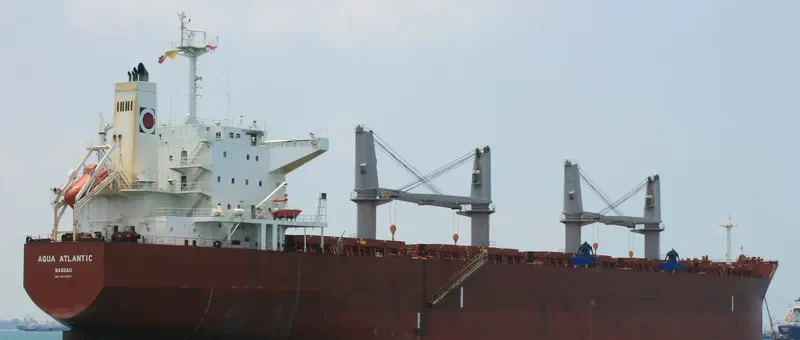 CAPT EUGENE Bulk Carrier IMO 9478767