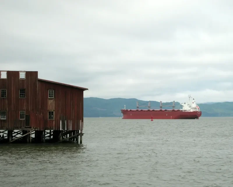 CAPT EUGENE Bulk Carrier IMO 9478767 photo 5