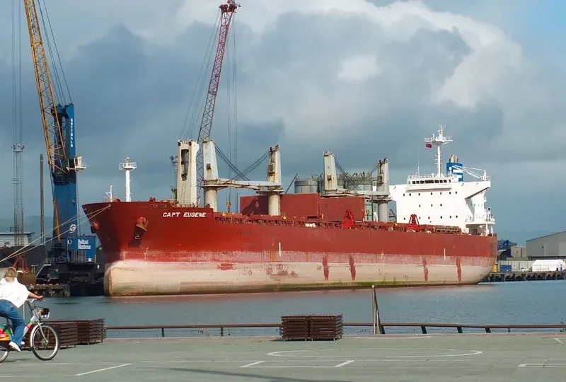 CAPT EUGENE Bulk Carrier IMO 9478767 photo 6
