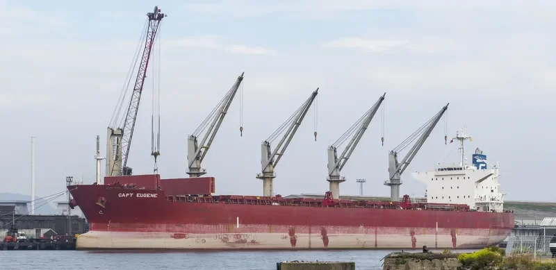 CAPT EUGENE Bulk Carrier IMO 9478767 photo 7