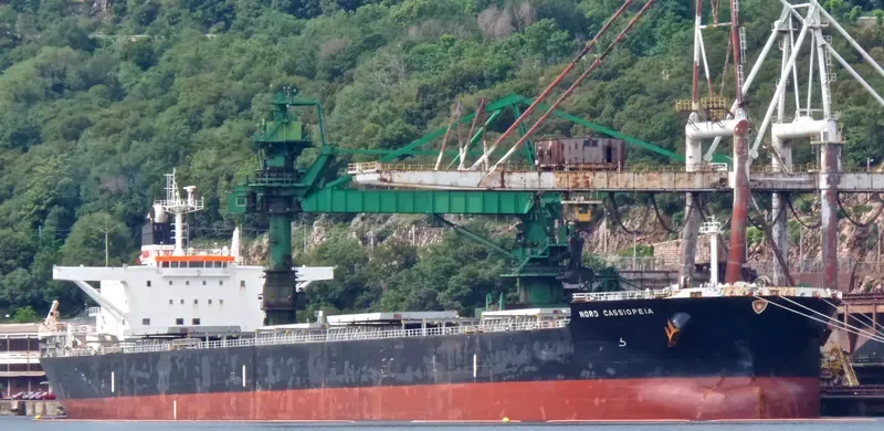 BABY CASSIOPEIA Bulk Carrier IMO 9478846 photo 6