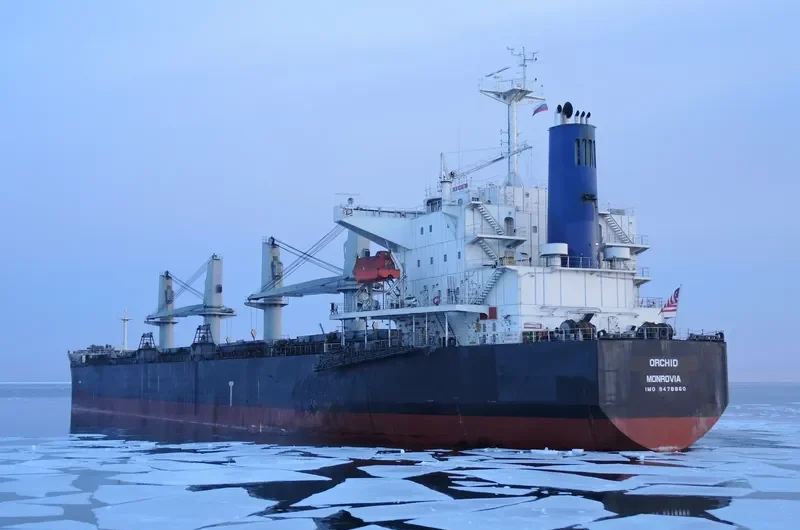 ORCHID Bulk Carrier IMO 9478860