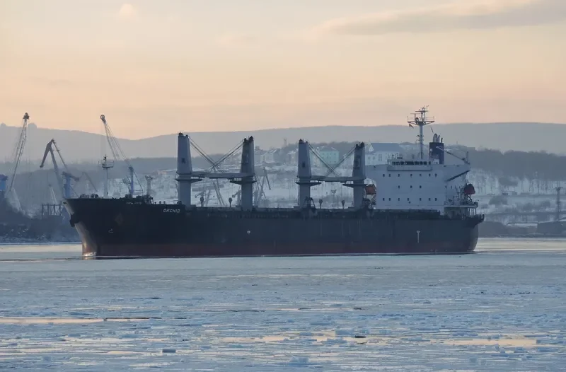 ORCHID Bulk Carrier IMO 9478860 photo 3