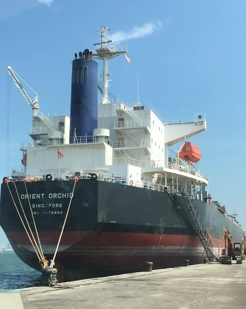 ORCHID Bulk Carrier IMO 9478860 photo 4