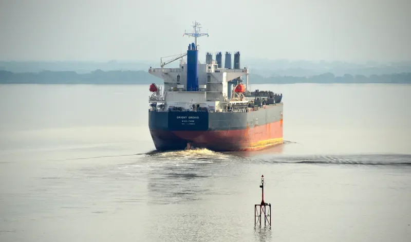 ORCHID Bulk Carrier IMO 9478860 photo 5