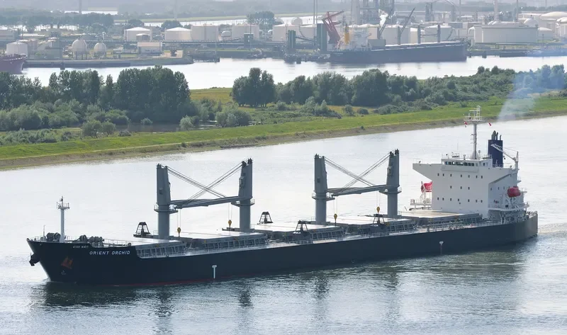 ORCHID Bulk Carrier IMO 9478860 photo 7