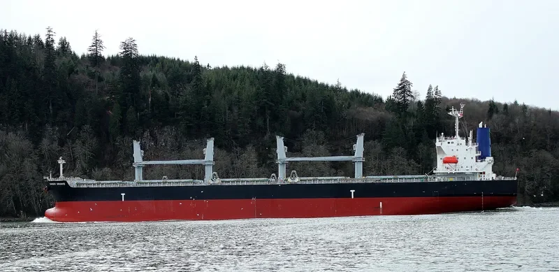 ORCHID Bulk Carrier IMO 9478860 photo 9