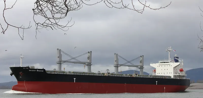 ORCHID Bulk Carrier IMO 9478860 photo 10