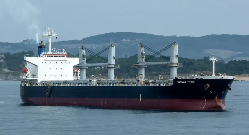 SPRING HAWK Bulk Carrier IMO 9478872 photo 2