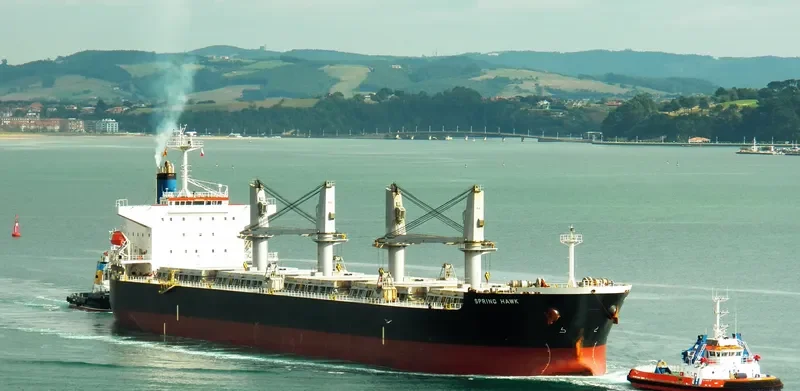 SPRING HAWK Bulk Carrier IMO 9478872 photo 3