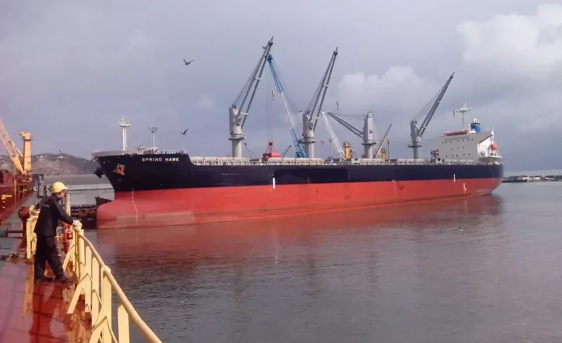 SPRING HAWK Bulk Carrier IMO 9478872 photo 6