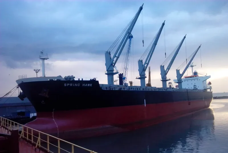 SPRING HAWK Bulk Carrier IMO 9478872 photo 7